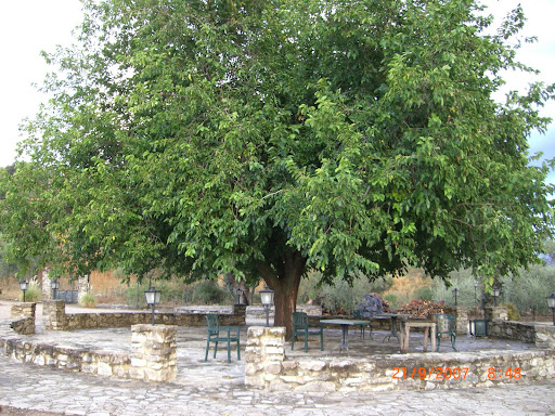 CIMG0695.JPG