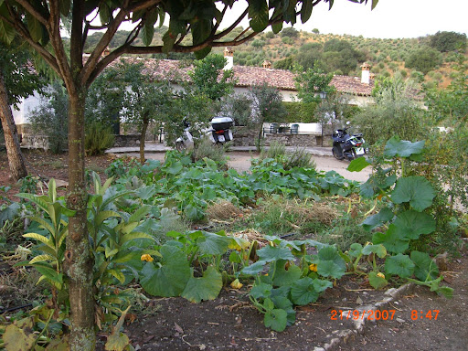 CIMG0694.JPG