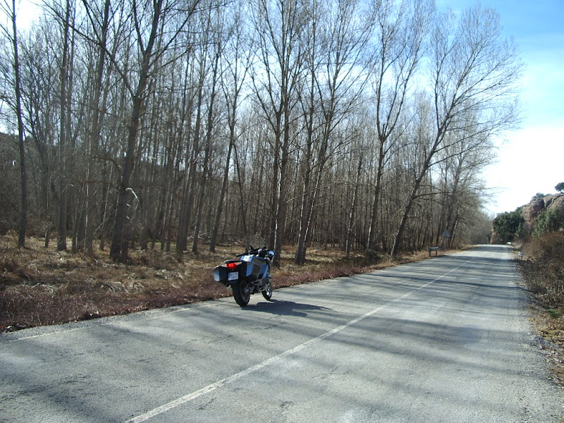 IMGP1429.JPG