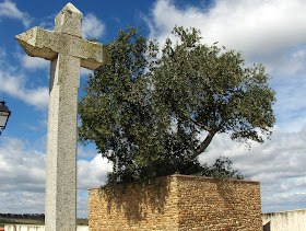 Olivo