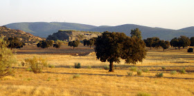 Paraje de Los Pedroches