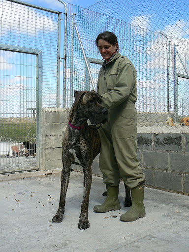 Adas Nuestros Voluntarios